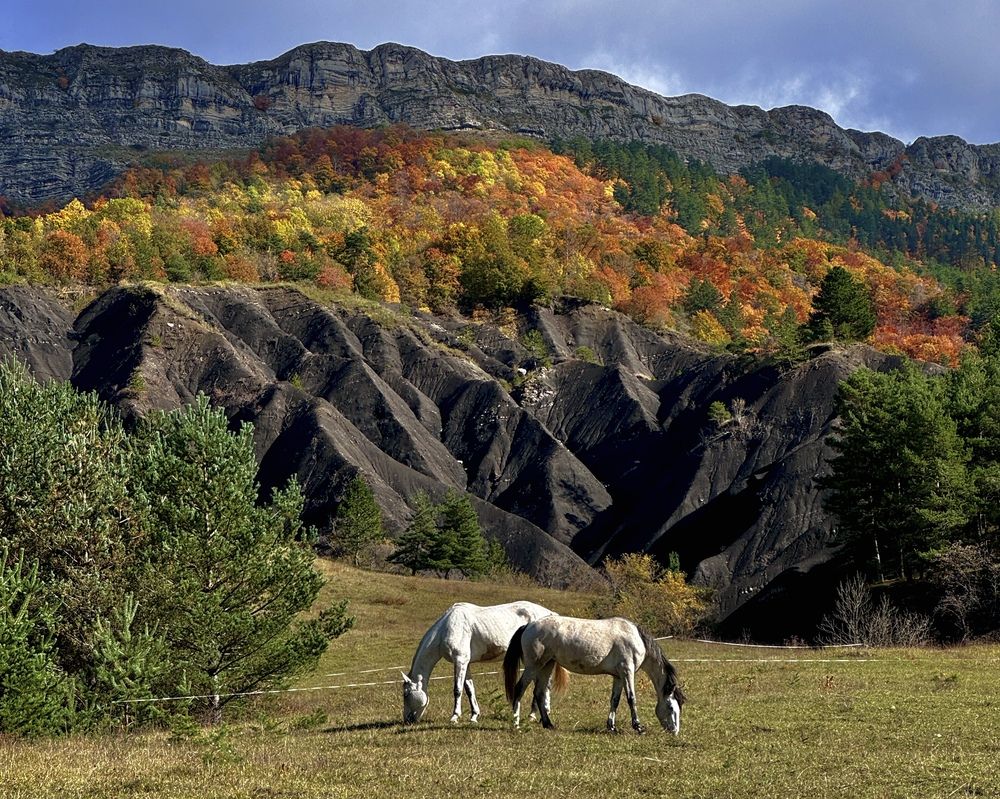 Photograph by Marina Odintsova