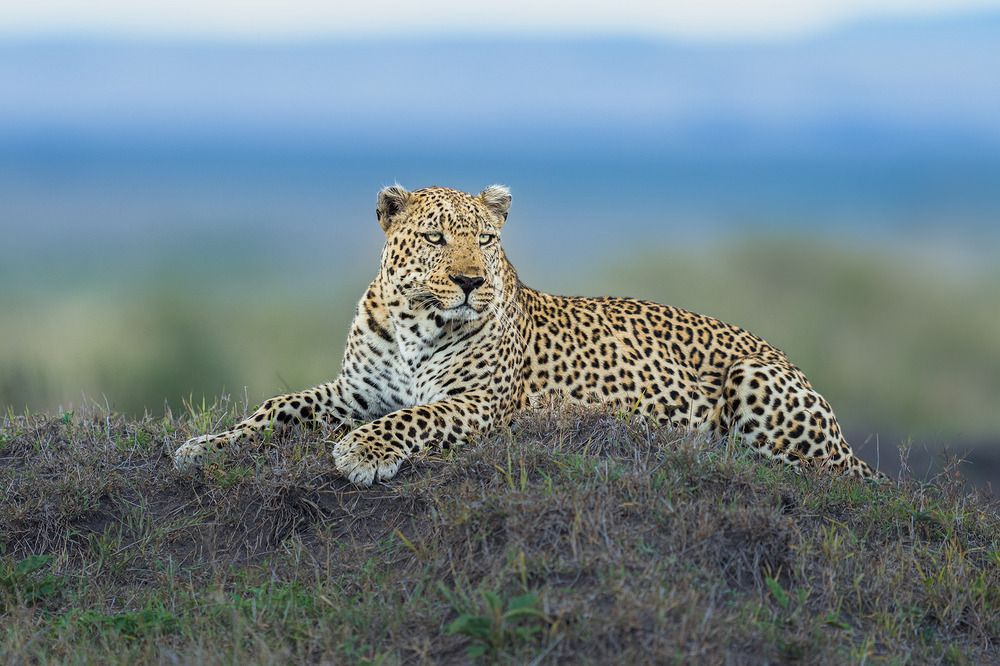 Photograph by Ahmed Sobhi