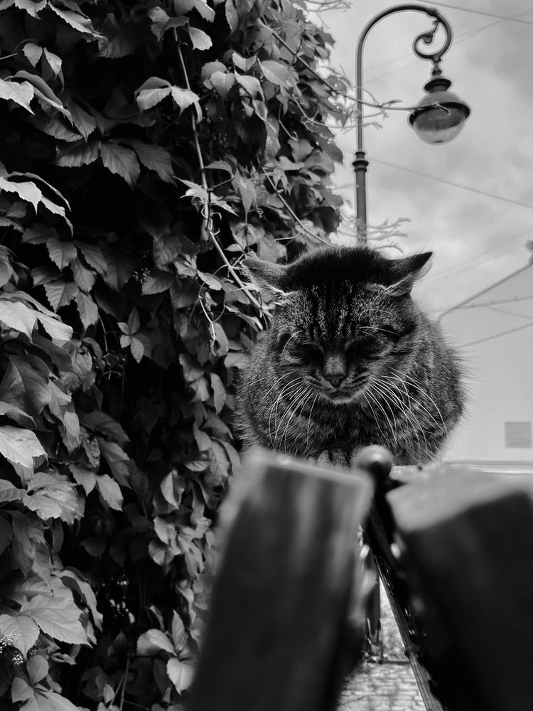 Photograph by Елена Спиридонова