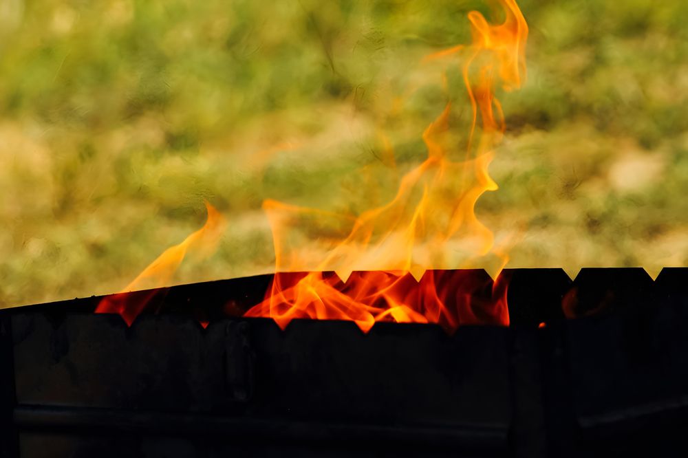 Photograph by Ирина Шибитова