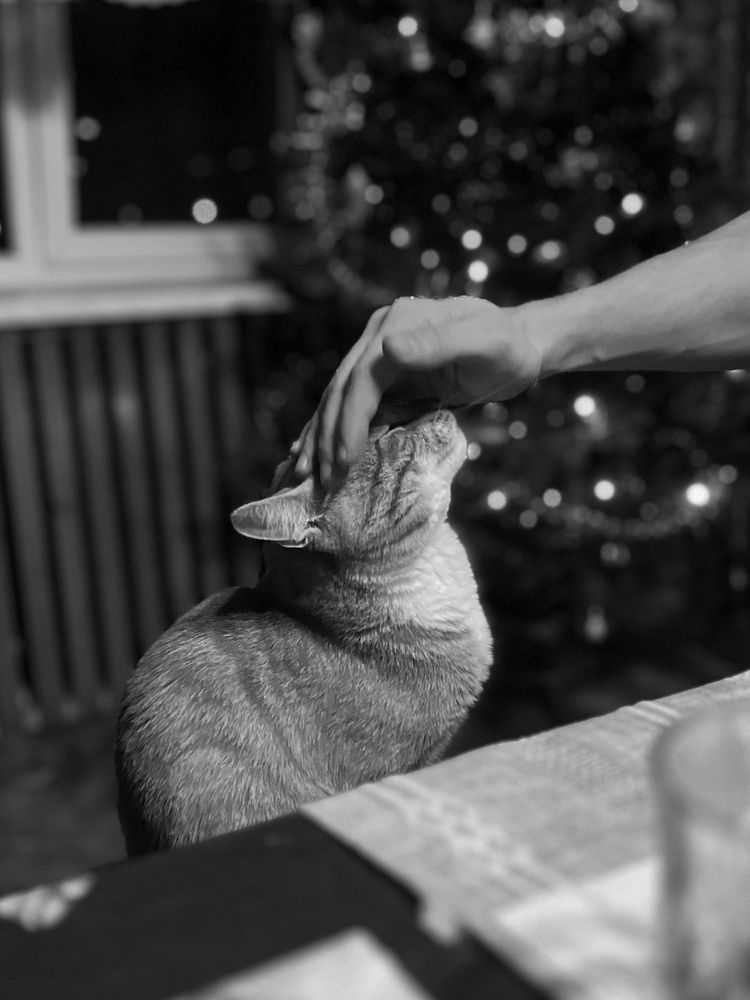 Photograph by Елена Спиридонова