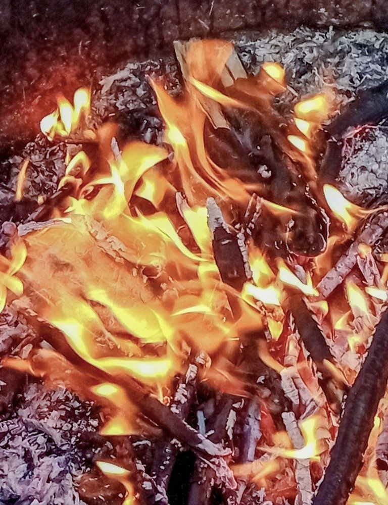 Photograph by Sergey Kurkov-Tarkovsky