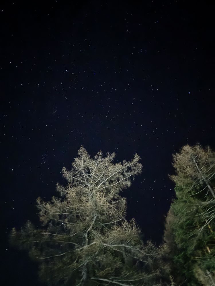 Photograph by Елена Федорова