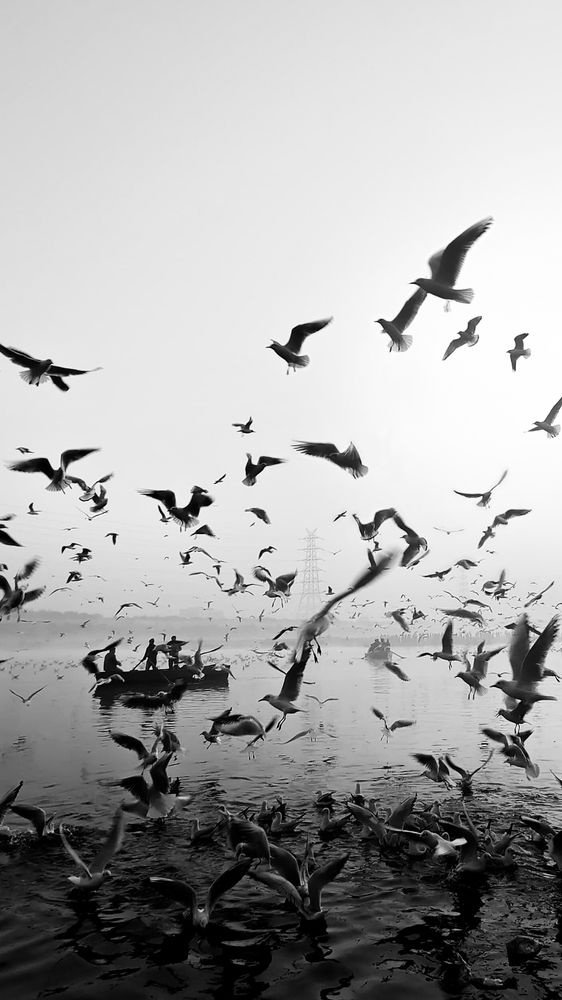 Photograph by Nivedh A M