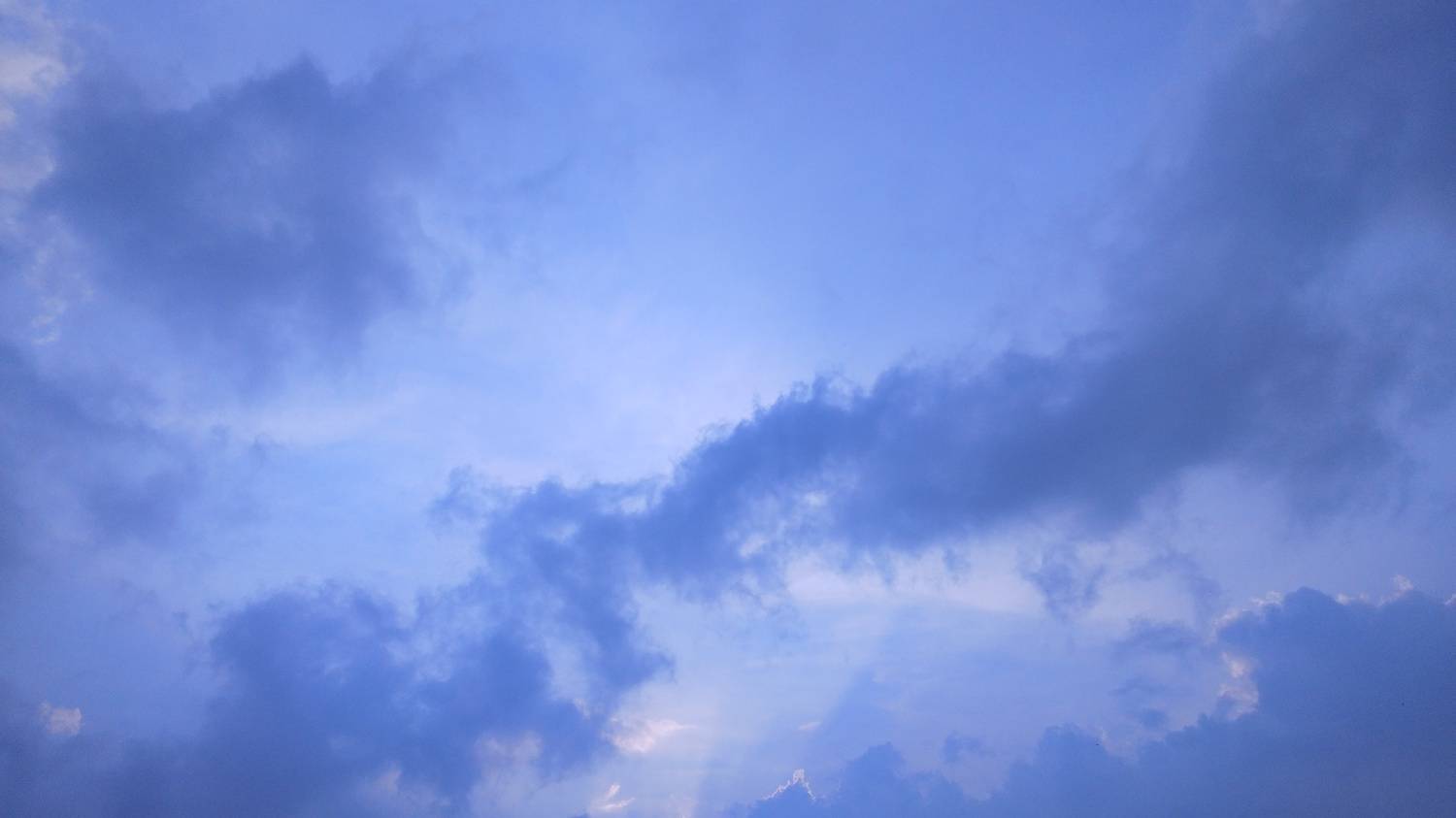 Photo #11905442