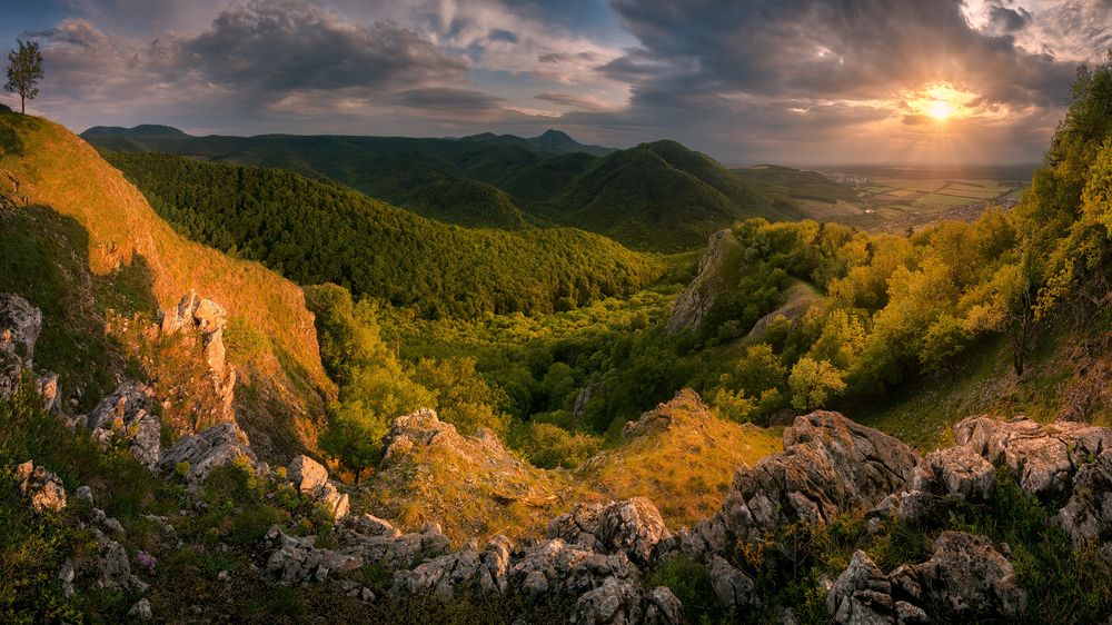 Photograph by Radoslav Cernicky