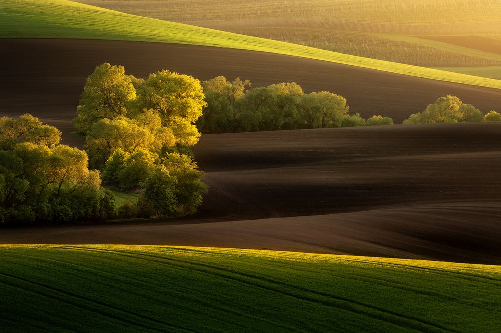 Photograph by Radoslav Cernicky