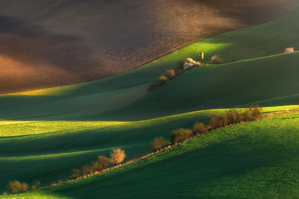 Photograph by Radoslav Cernicky