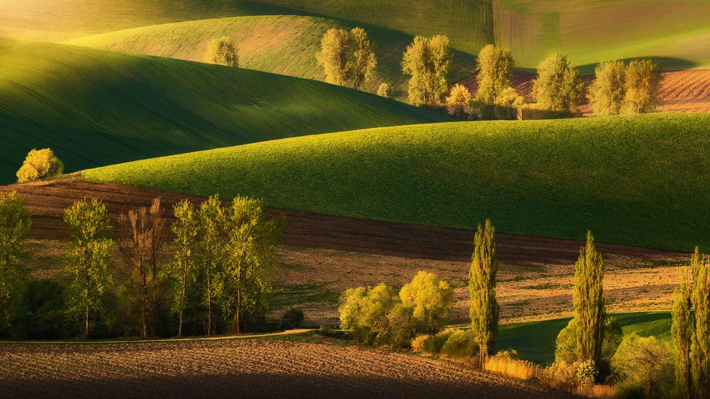 Photograph by Radoslav Cernicky