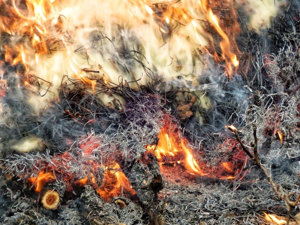 Фотография автора Юлия Фёдорова