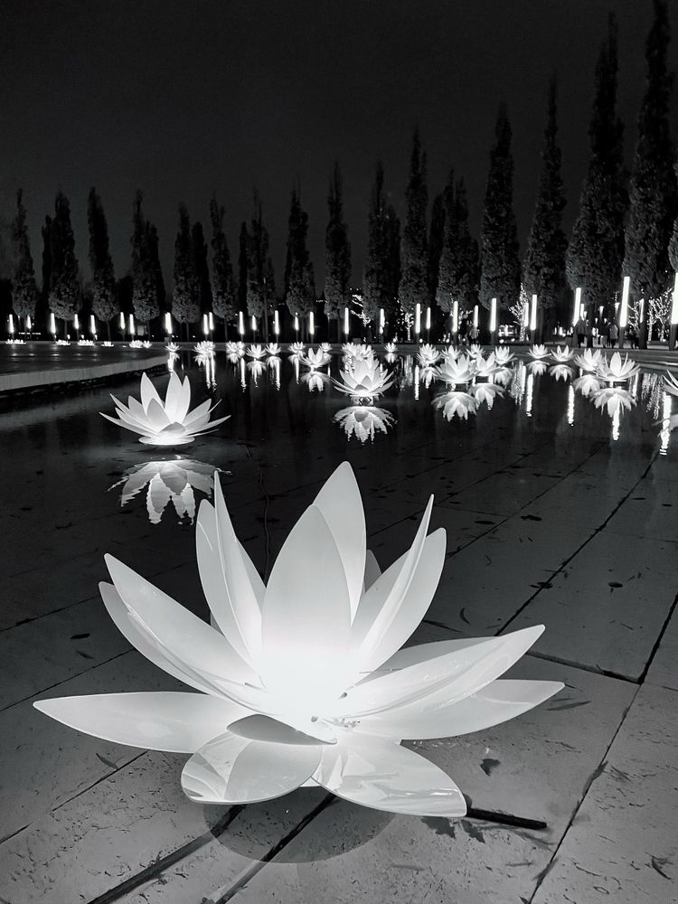 Photograph by Марина