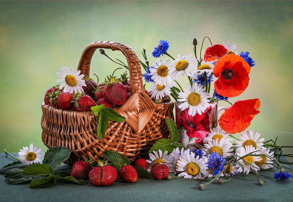 Photograph by NADEZHDA PELYMSKAIA