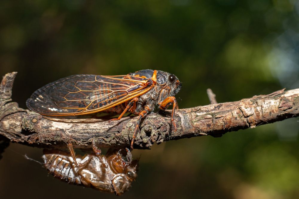 Photograph by Николай Абрамов