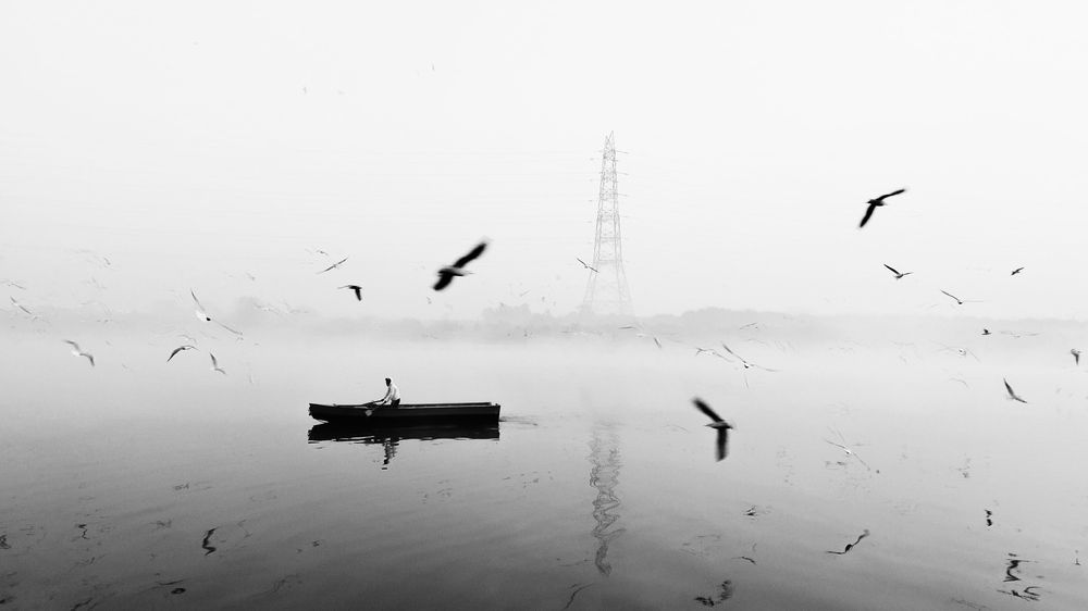 Photograph by Nivedh A M