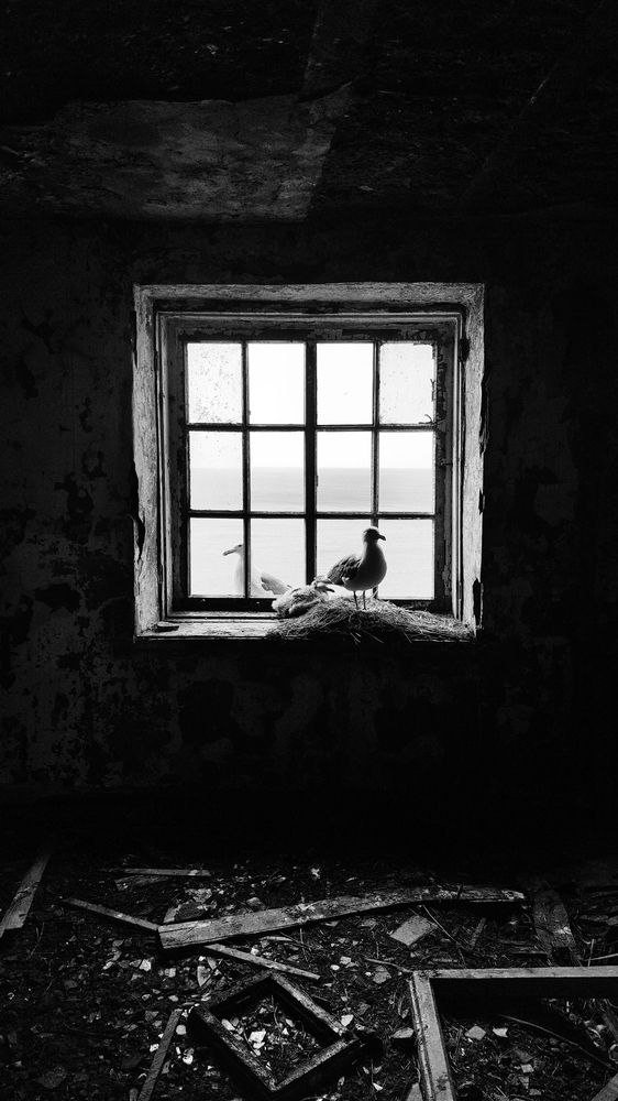 Photograph by Карамышева Дарья