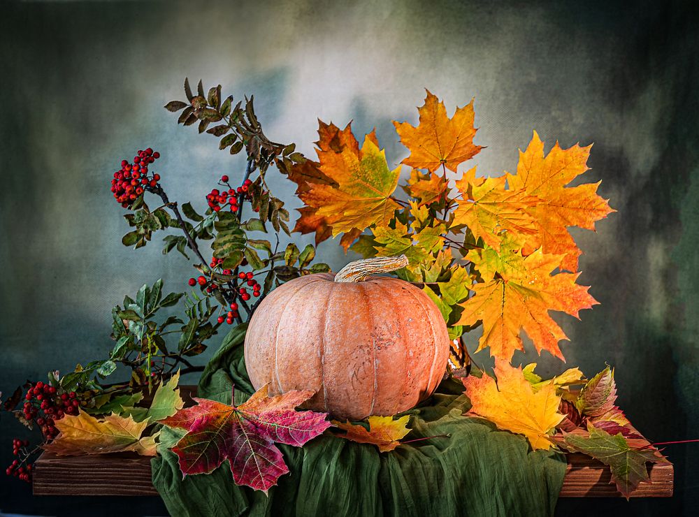 Photograph by NADEZHDA PELYMSKAIA