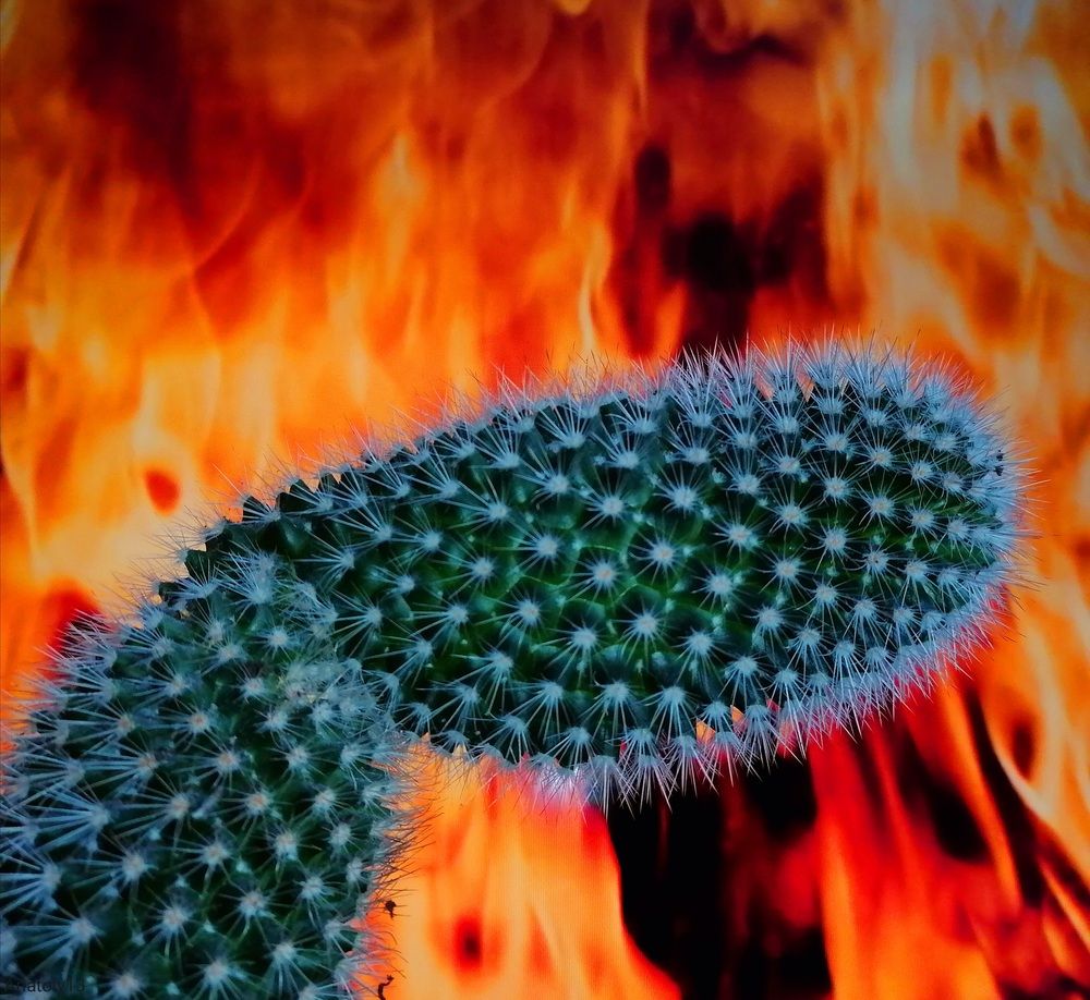 уничтожение