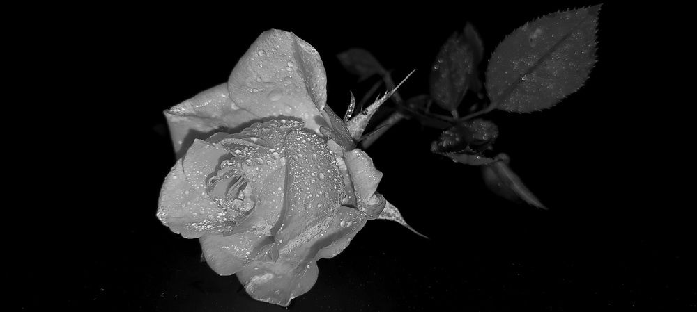 Фотография автора Сергей Можаев