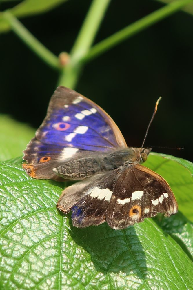 Photograph by Надежда Ткаченко