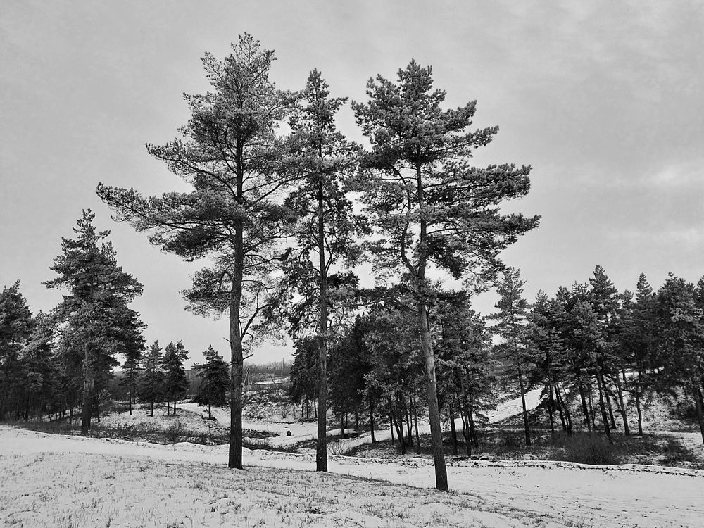 Photograph by Александр Карасев