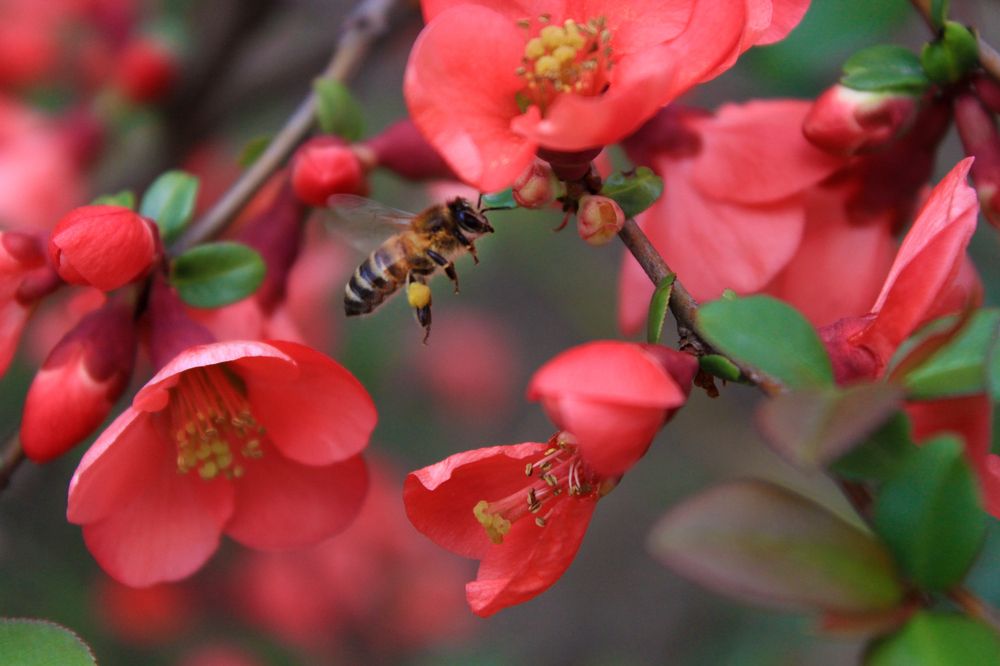 Фотография автора Татьяна Сергиенко