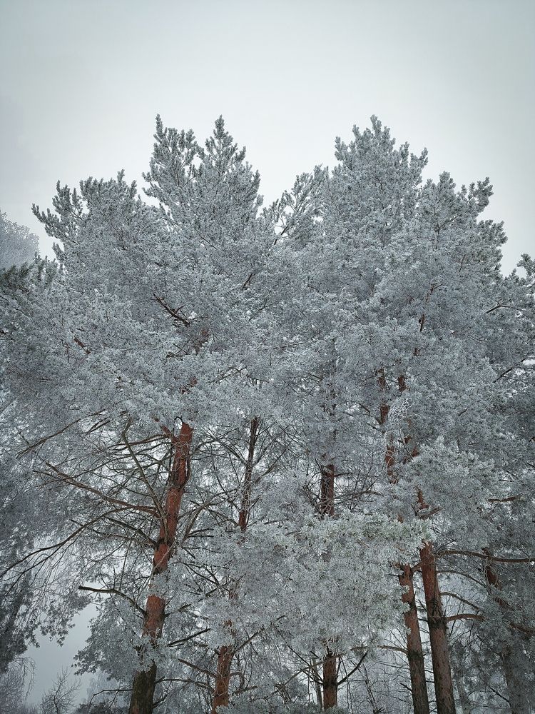 Photograph by Полина Перминова
