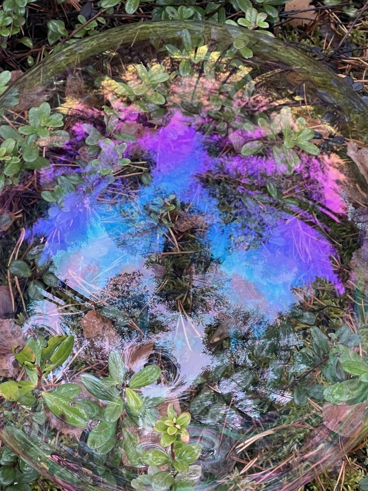 Photograph by Inna Shevchenko