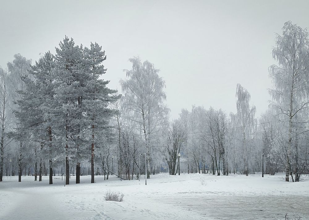 Photo #11905653