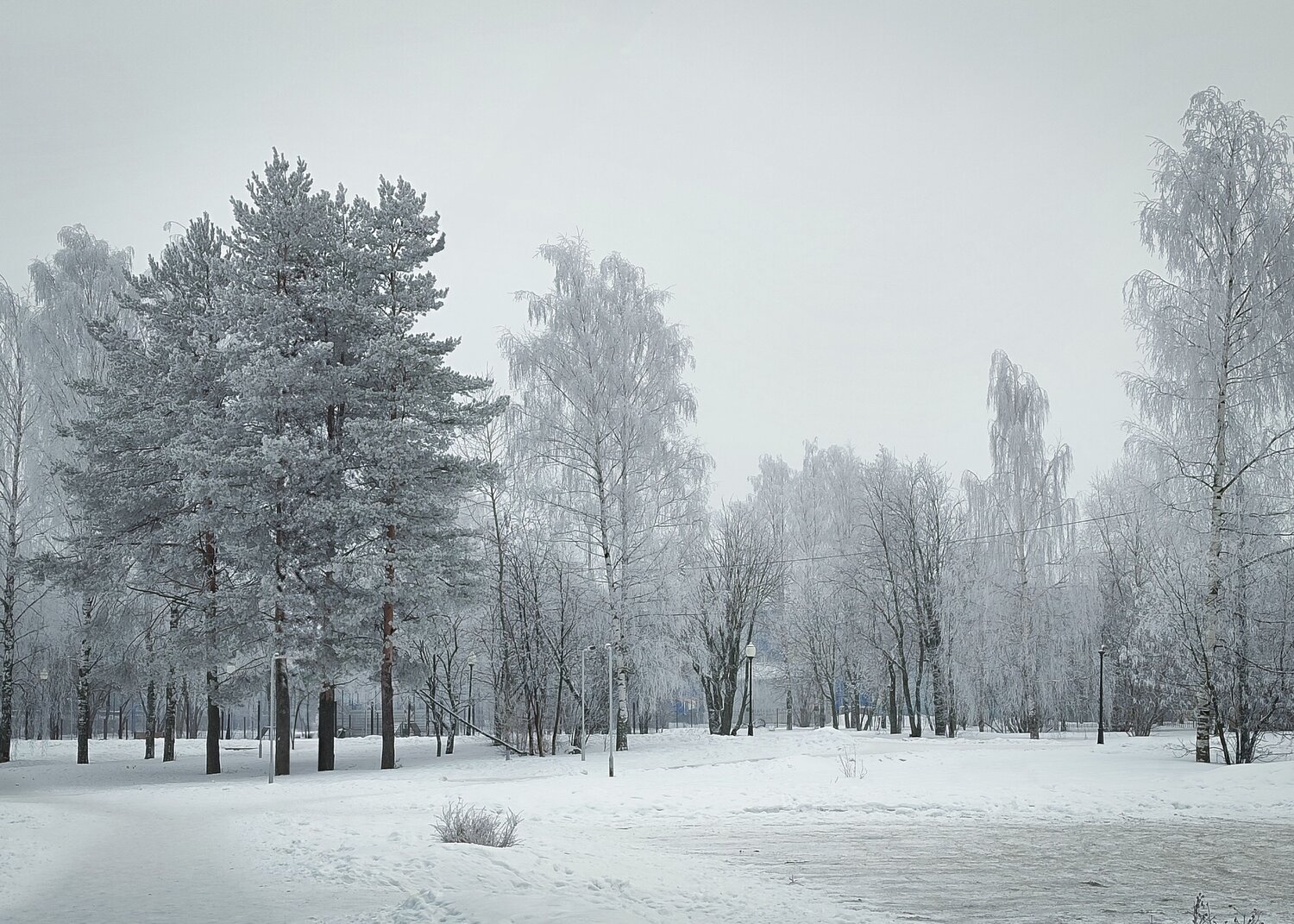 Photo #11905653