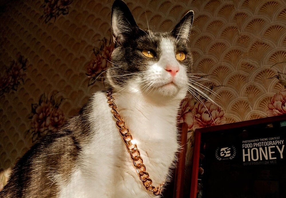 Photograph by Ирина Саттарова