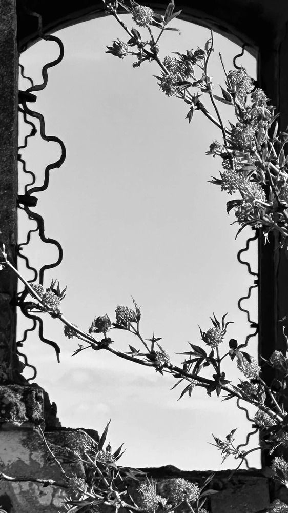 Photograph by Екатерина Спицина