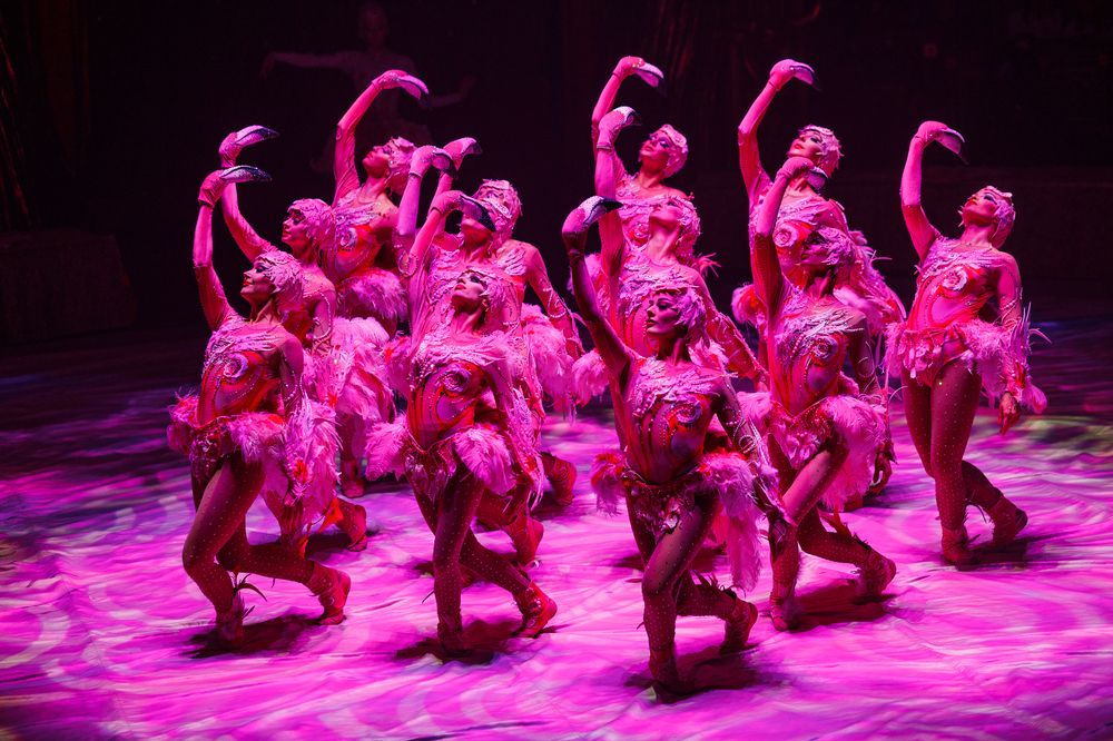 Фотография автора Александр Леонтьев