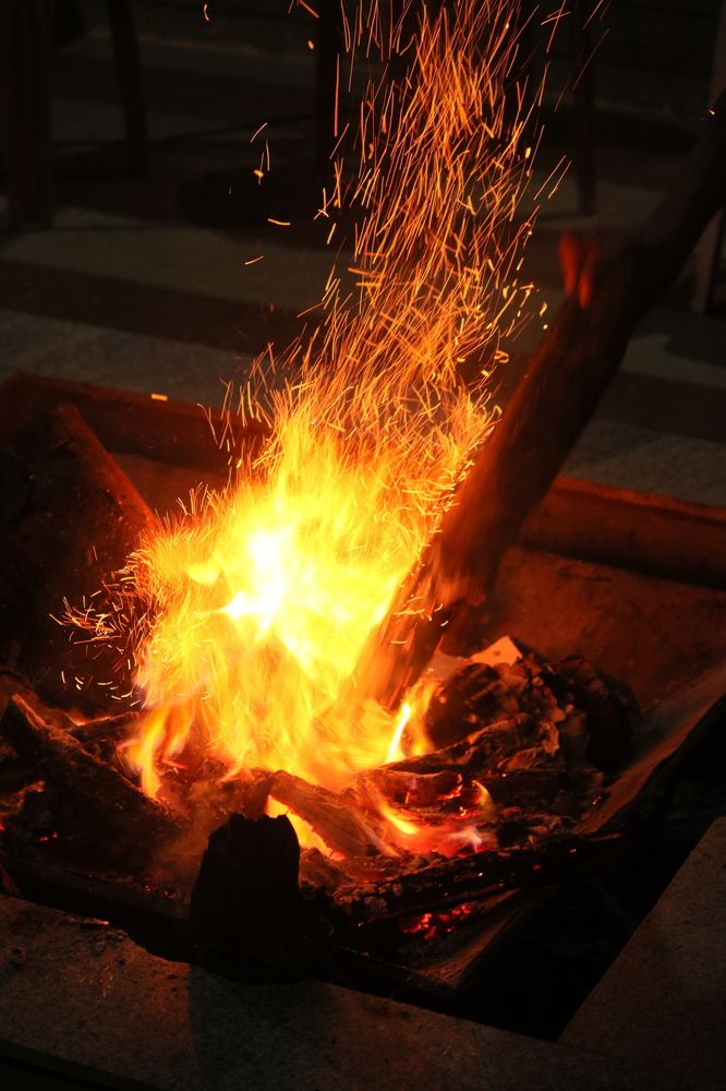 Photograph by Pradyumna K P