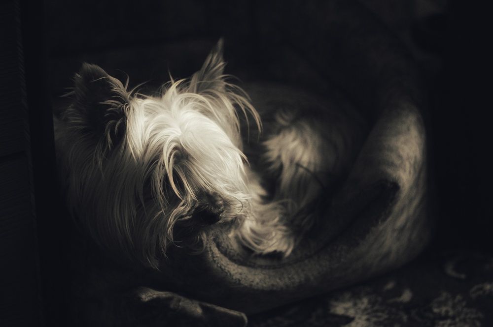 Фотография автора Сергей Вдовин