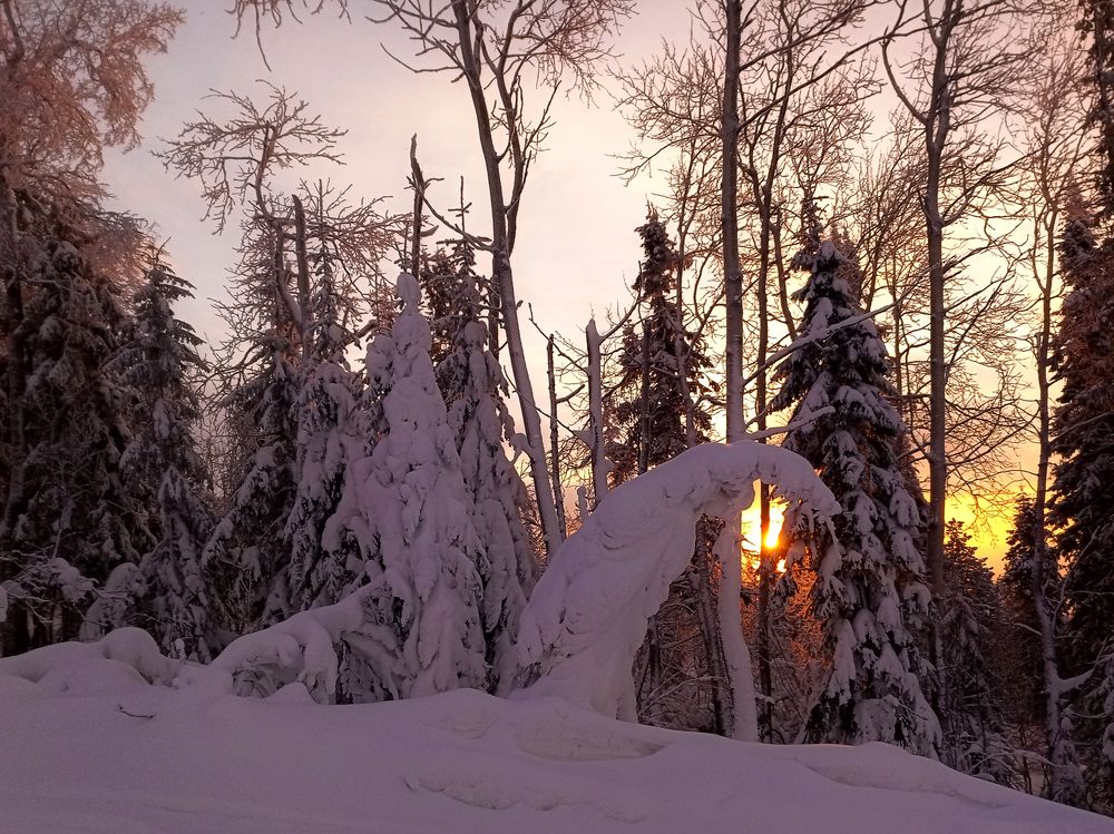 Photograph by Максим Фролов