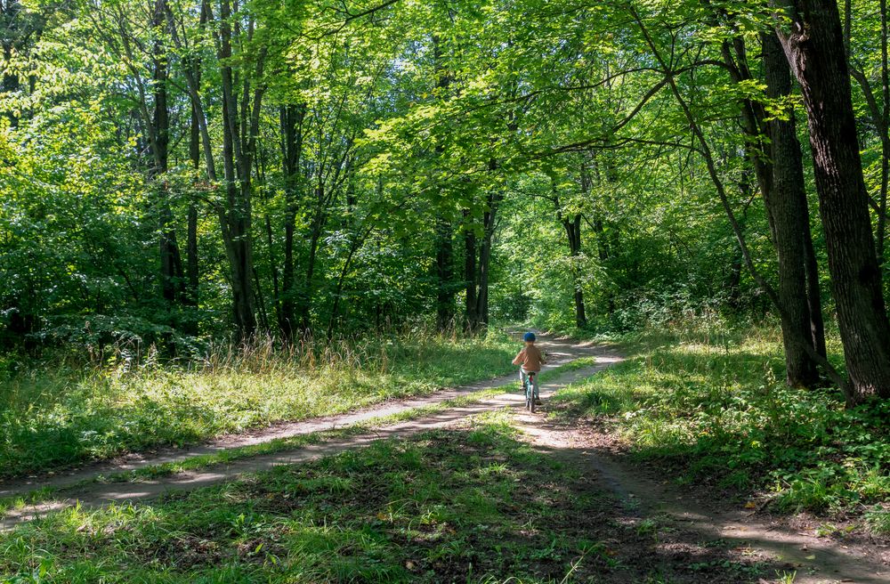 Не оглядываясь, вперёд.