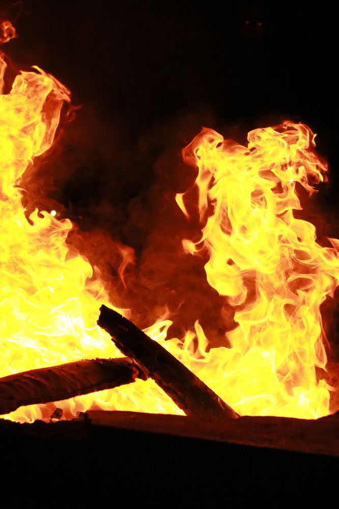 Photograph by Pradyumna K P