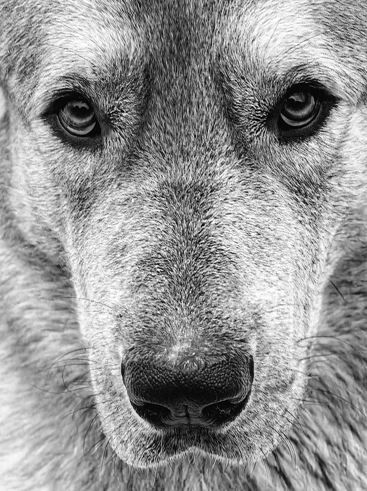 Photograph by Татьяна Котова