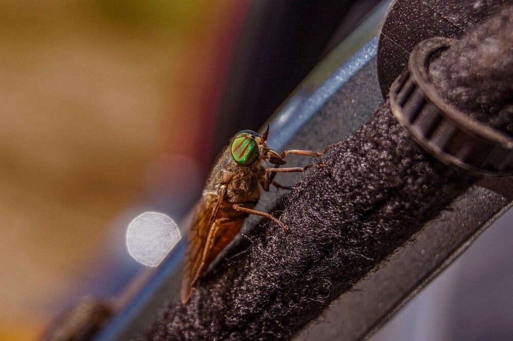 Photograph by Алексей Логинов