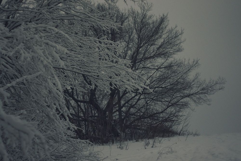 Фотография автора Сергей Вдовин