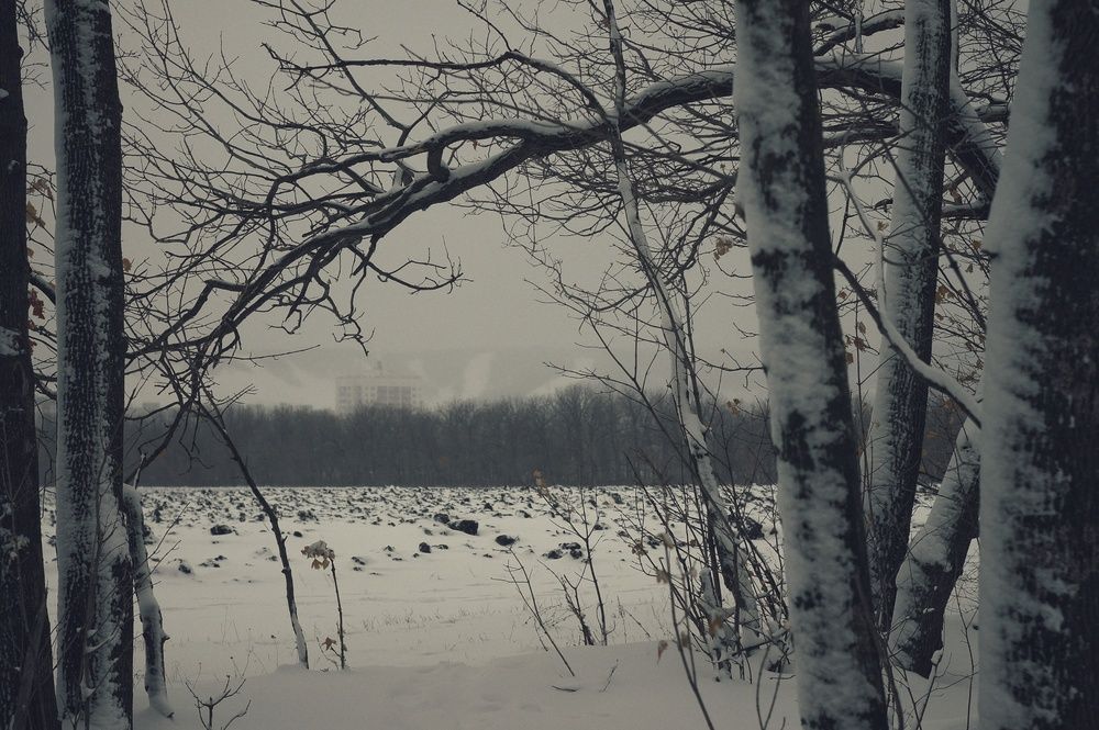 Фотография автора Сергей Вдовин