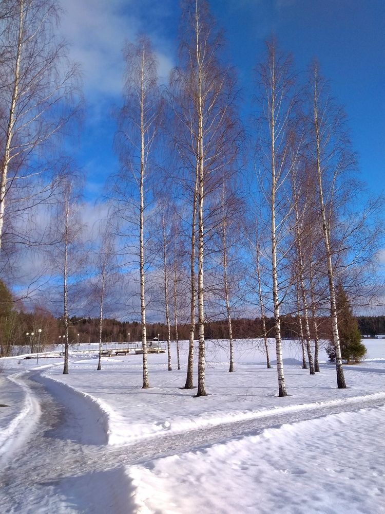 Фотография автора Рузинова Елена