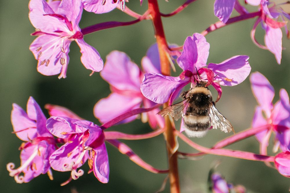 Photograph by Людмила Москвичёва