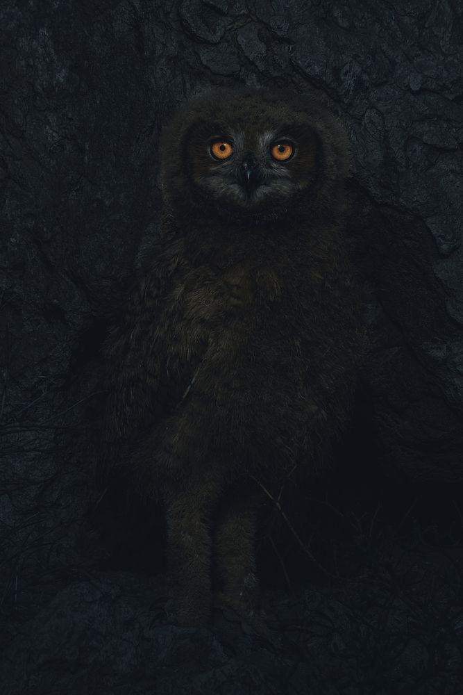 Фотография автора sherif Abdallah