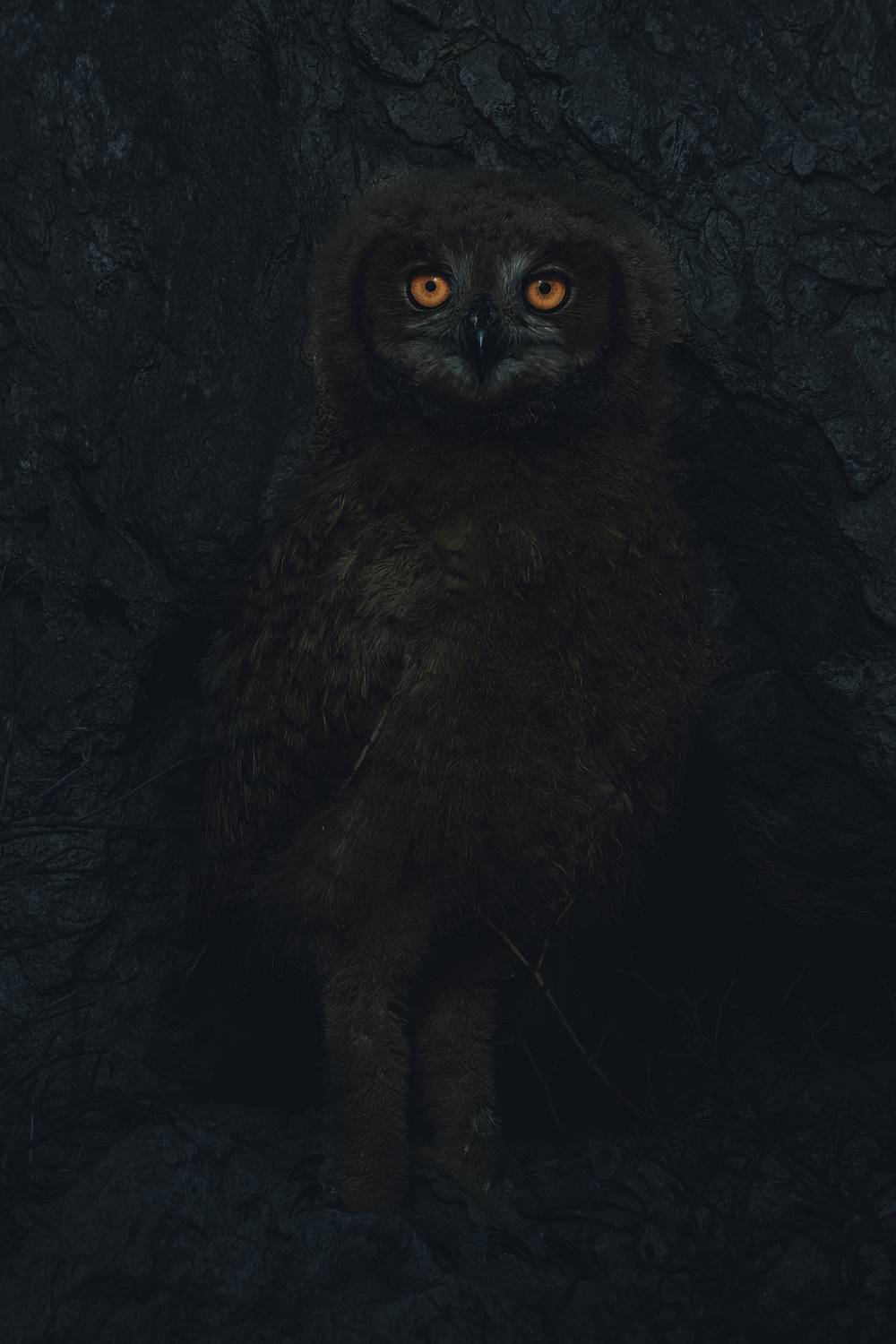 Фотография #11905894