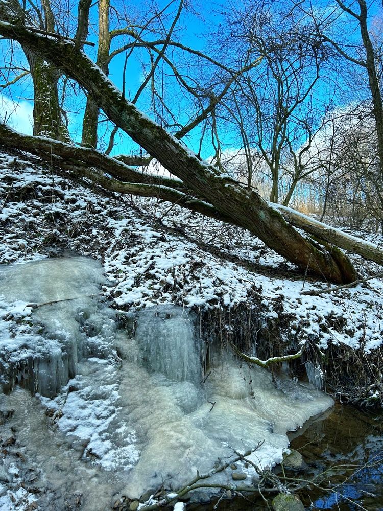 Photograph by Ирина Мазюк