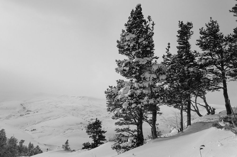 Фотография автора Татьяна Сергиенко