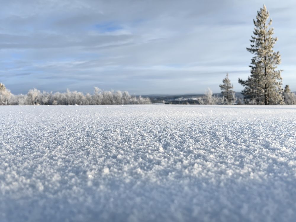 Фотография автора Sparc-jr