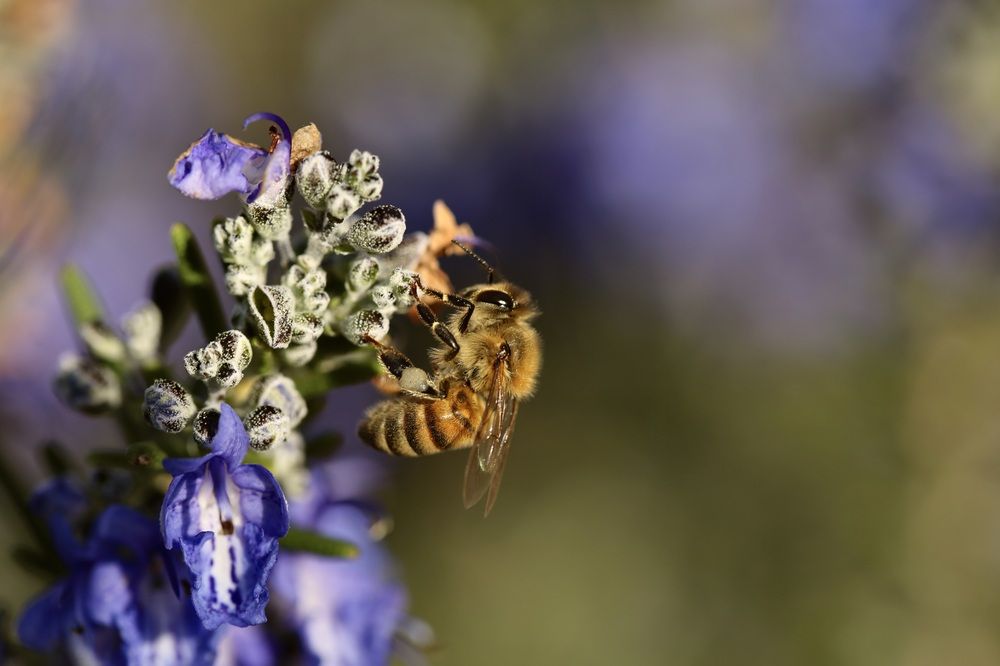 Photograph by Наталья Мутова