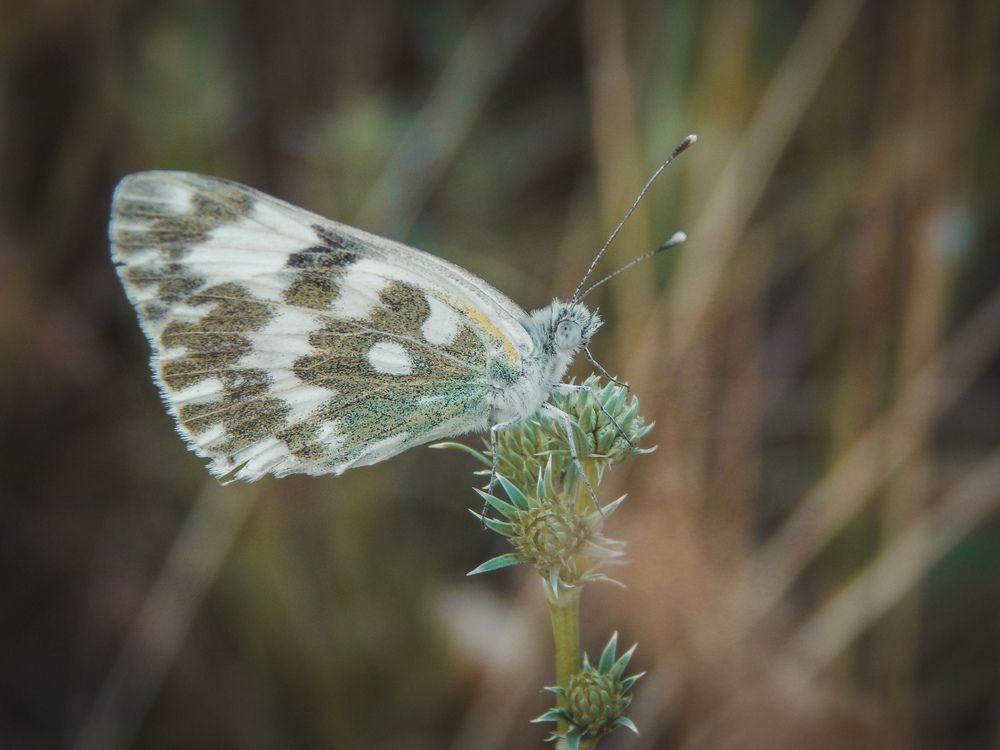 Photograph by Aлександра Чаплыгина